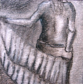 Pareo